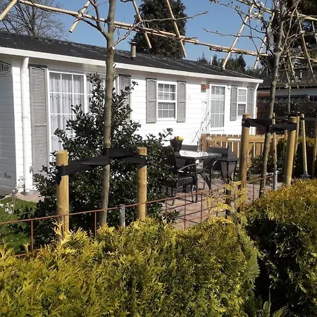 Bospareltjes Luxe Alleen Voor Recreatie Chalet Oisterwijk