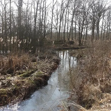 Σαλέ Bospareltjes Luxe Alleen Voor Recreatie *