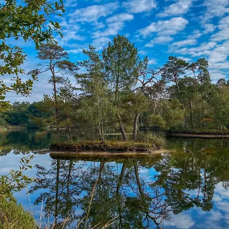 Bospareltjes Luxe Alleen Voor Recreatie *
