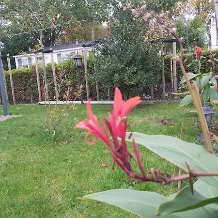 Bospareltjes Luxe Alleen Voor Recreatie Chalet *