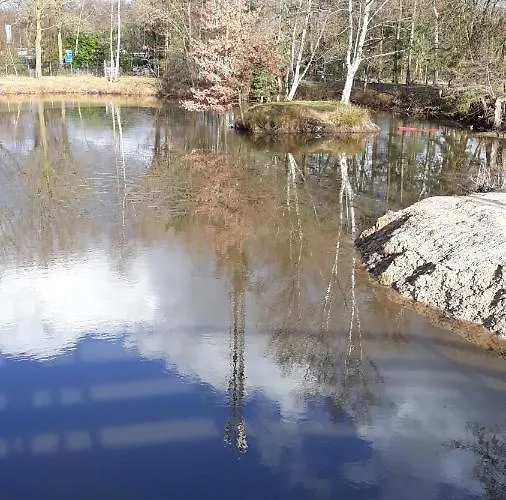 Alpstuga Bospareltjes Luxe Alleen Voor Recreatie