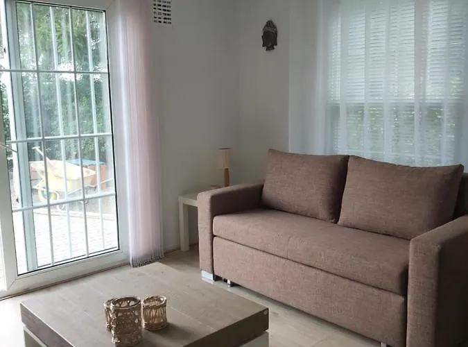 Bospareltjes Luxe Alleen Voor Recreatie Oisterwijk