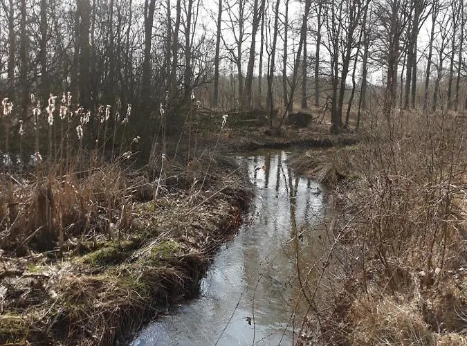 Σαλέ Bospareltjes Luxe Alleen Voor Recreatie *