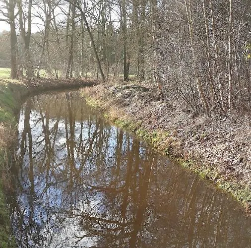 Bospareltjes Luxe Alleen Voor Recreatie Alpstuga Oisterwijk