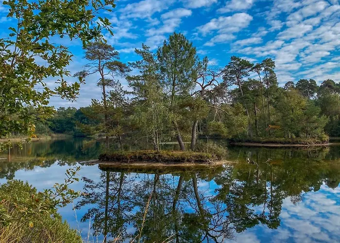 Bospareltjes Luxe Alleen Voor Recreatie *