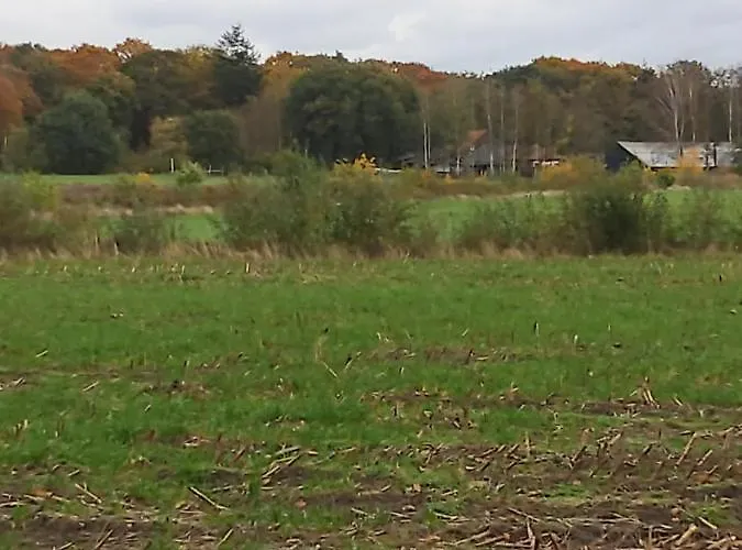 Bospareltjes Luxe Alleen Voor Recreatie Σαλέ Oisterwijk