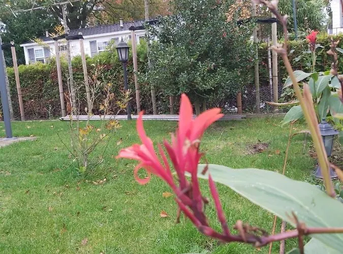 Bospareltjes Luxe Alleen Voor Recreatie Σαλέ *